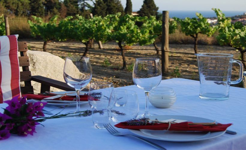 Picnic Winery Experience in Alella / Wine Tour / Barcelona Discovery