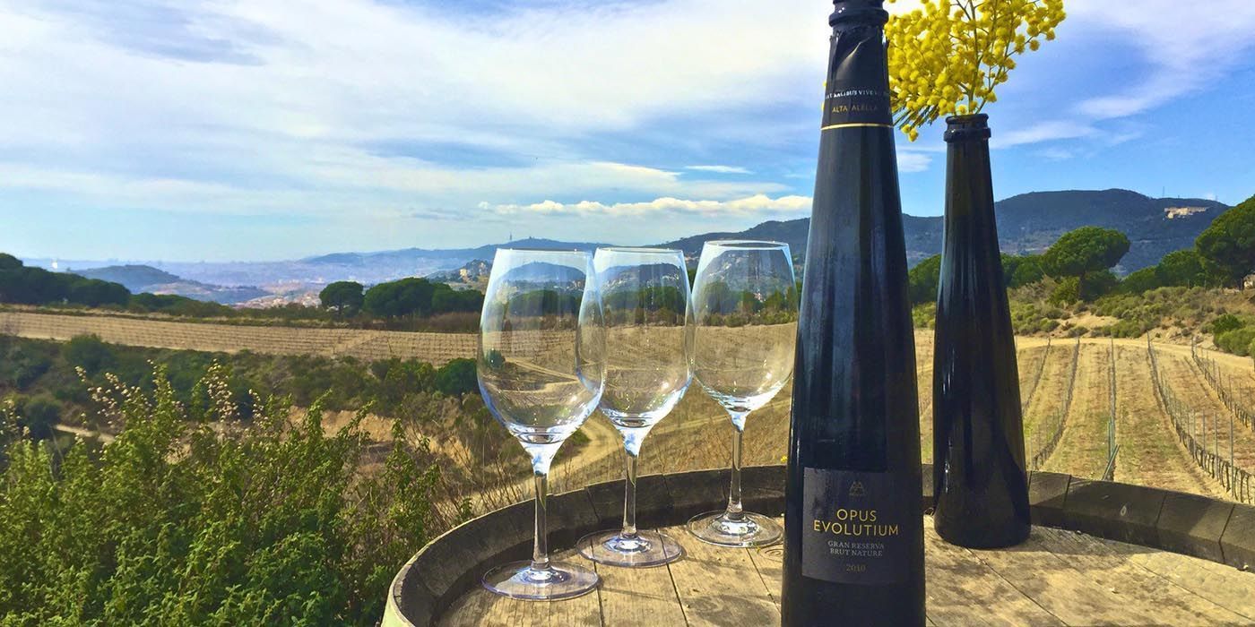 Private Boat Trip & Wine Tasting Tour from Barcelona / Barcelna Disovery